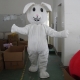 Mascot Costume Little Rabbit