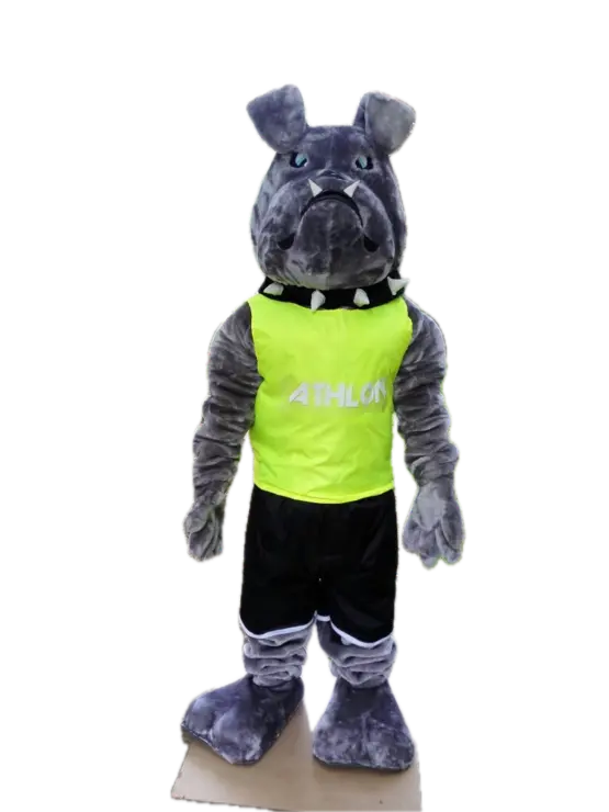 Bulldog Gym — esempio dal catalogo MascotteMania