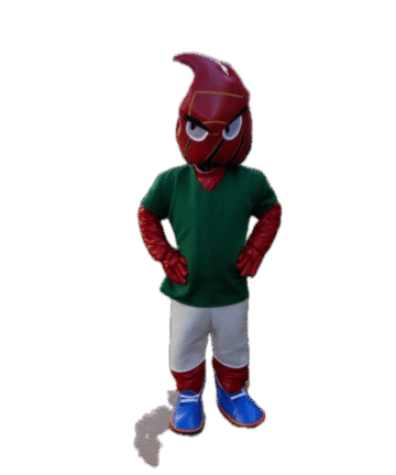 Mascotte Personalizzata Spicy Pallavolo Mascottemania